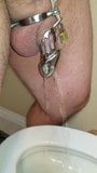 Peeing in chastity snapshot 8