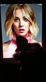 Kaley Cuoco snapshot 7