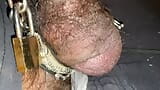 Longest chained Pierced cock ever Masturbation Part II snapshot 1