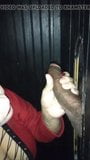 Cadela esposa chupando bbc em gloryhole snapshot 5