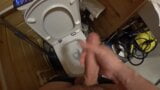 Jerking off in the toilet snapshot 9