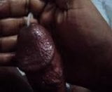 jelly masturbation snapshot 10