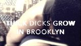 Dicks Grow Like Tress in Brooklyn! snapshot 1