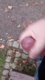 Cum in park snapshot 1