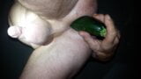 Big courgette snapshot 6