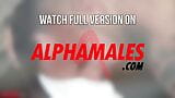 Alphamales.com - la baise gay la mieux notée snapshot 7
