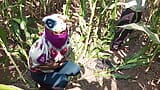 Indyjska wioska shemale forest corn field jebanie - filmy Desi w języku hinduskim snapshot 1