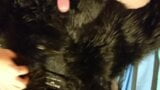 Stepsisters Spirithood get a Ear Rub snapshot 8