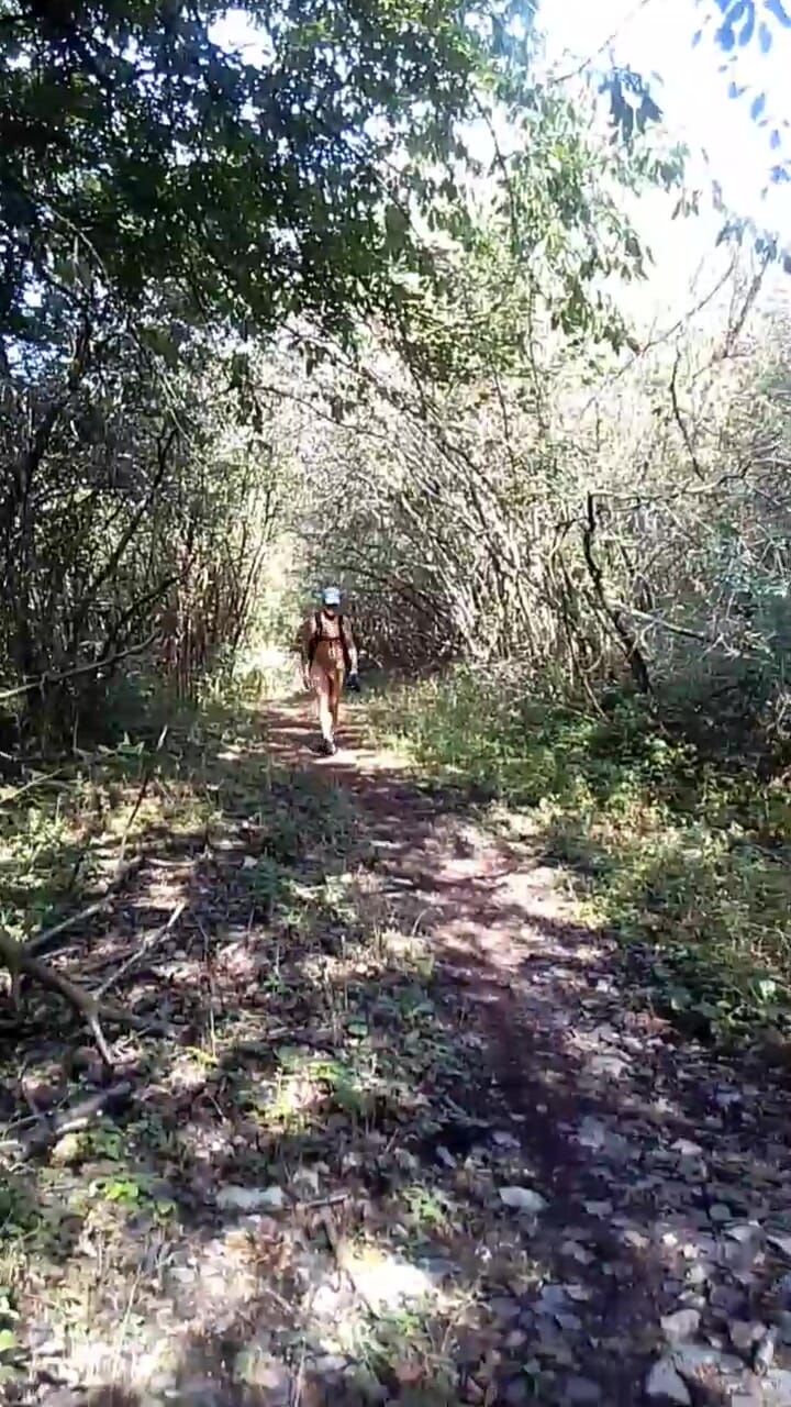 Caminando en el bosque