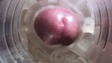 Fleshlight plezier snapshot 1