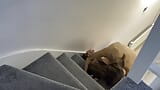 Sex positions on the stairs snapshot 5