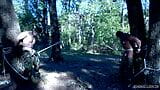 Juegos de mazmorras - into the woods 3 con tyler y duke snapshot 10