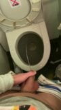 Jerk off and pee in the toilet of the plane snapshot 5