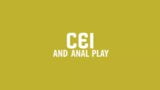 CEI AND ANAL PLAY snapshot 2