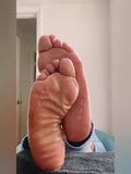 Soles snapshot 1