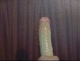 dildo snapshot 1