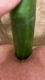 CUCUMBER DEEP IN MY PUSSY snapshot 4