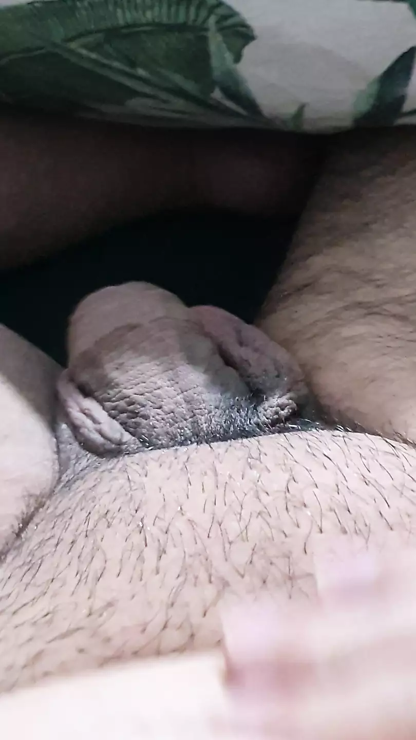 Kedi en iyi mastürbasyon. 