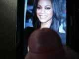 Hołd dla zoe saldana snapshot 1