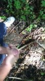 Masturbation dans les bois et éjaculation énorme snapshot 8