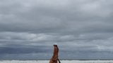 Esposa caliente follada en la playa :-) snapshot 2