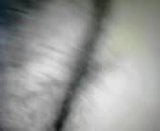 Hairy snapshot 2