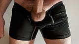 Veiny Cock Bulge In and out of briefs snapshot 10