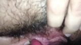 Hairy snapshot 1