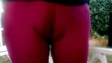 Cameltoe snapshot 1