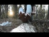 Cumshot-Sohlen im Wald snapshot 12