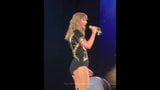 Tributo a Taylor Swift, sus sacudidas - Reputación Tour- parte 2 snapshot 20