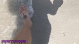 Сводный сын показывает сексуальных обнаженных босых ног на пляже snapshot 8