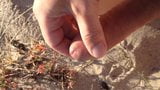 Hairy penis jerked off at the beach snapshot 2