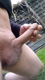 Outdoor masturbation with cumshot snapshot 9