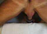 Making my fleshlight squeal like a pig snapshot 8