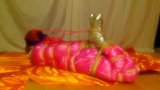 Hogtie satin snapshot 10