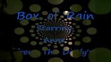 Box of Rain snapshot 1