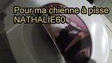 Pour ma chienne Nathalie60 snapshot 1