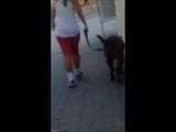 A gostosa e o cachorro snapshot 6