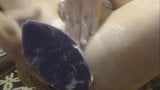 Entrenamiento anal de Bad Dragon - fenrir grande, galletas, terra, xar snapshot 20