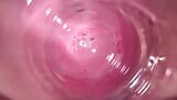 Camera inside my tight creamy pussy, Internal view of my horny vagina snapshot 4