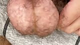 bouncing bushy cock n balls snapshot 5