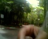 exibindo no bosque de marilia-sp snapshot 5