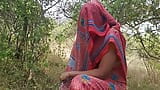 Indian desi aunty,  brutal anal sex in jungle. snapshot 2