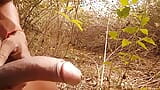 Indian man harmit fucking her huge cock in the jungle snapshot 14