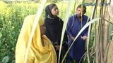 Village life billo hote video snapshot 12