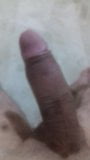 My cock 4 u snapshot 1