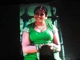 Вшанування актриси kavya madhavan snapshot 5