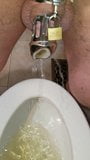 Peeing in chastity snapshot 10