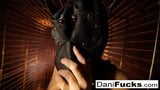Dani daniels una cagna intrappolata in una gabbia per cani snapshot 4